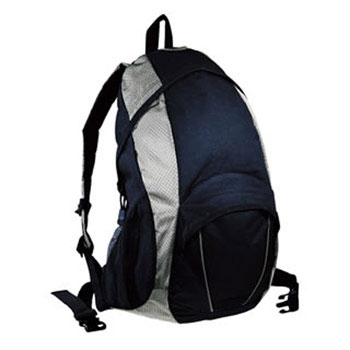 b4798__polaris_backpack_navy_silver.jpg