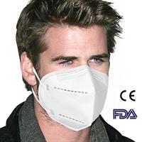 KN95 Particulate Face Mask