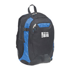 Boost Laptop Backpack